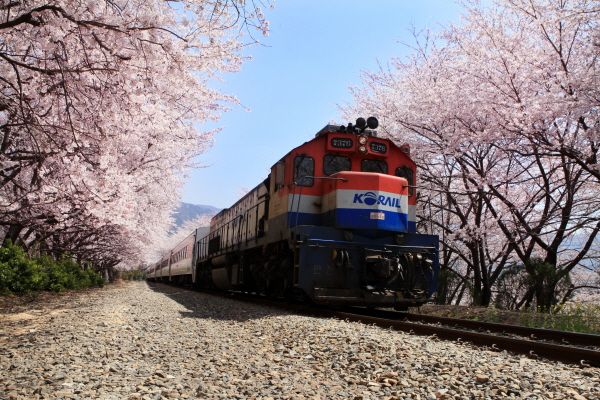 KTX-   ()